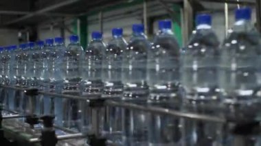 Suyla dolu plastik şişelerle taşıyıcı. Maden suyu ve meşrubat üretimi için bitki yetiştirin..