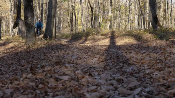 En mand rider en mountainbike gennem bladene i en efterårsskov. Cyklisten kører ned ad stien mod kameraet og bremser kraftigt. Lav synsvinkel. – Stock-video