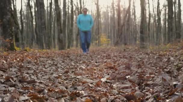 Žena v bílých teniskách, modrých džínách a zelené mikině prochází spadlým listím podzimního lesa. Žena procházející se lesem. Přesouvá se k fotoaparátu. — Stock video