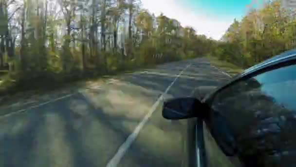 Timelapse beweging van de auto op een smalle landweg. Aan de zijkanten van de weg staan geel-groene herfstbomen. De camera is aan de zijkant van de auto bevestigd. — Stockvideo