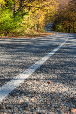Kırsal bir yolun ortasındaki beyaz, katı bir çizgi. İki dönüş ve sonbahar ormanına giden yol. Dipteki öngösterim