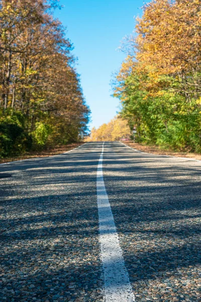 Marcações Linha Sólida Branca Uma Estrada Rural Longo Das Bordas — Fotografia de Stock