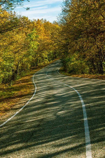 Zkroucená Asfaltová Cesta Bílými Značkami Kraji Silnice Žlutozelený Podzimní Les — Stock fotografie