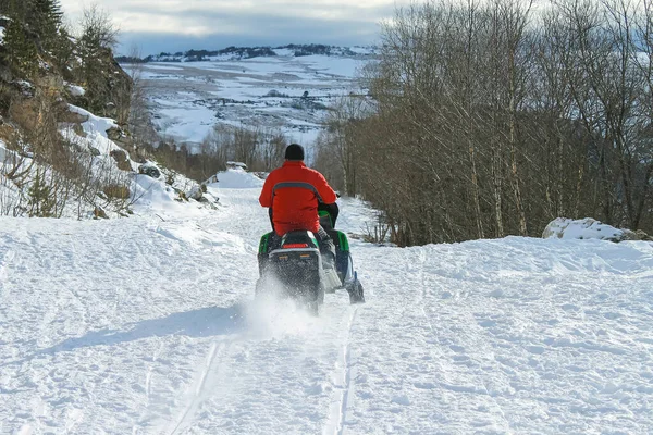 Mand Rød Jakke Kører Snescooter Baggrunden Sneklædte Bjerge Nøgne Skove - Stock-foto