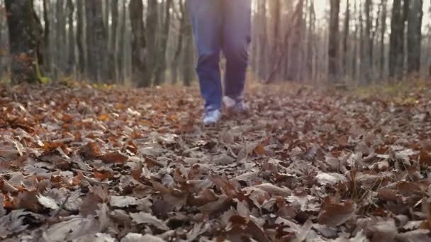 白いスニーカーと青いジーンズの女性の足は 秋の森の中で葉を蹴っています 接近中だ カメラの動き — ストック動画