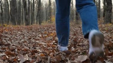 Beyaz spor ayakkabı, kot pantolon ve yeşil kazak giyen bir kadın sonbahar ormanında düşen yaprakların arasında yürüyor. Kameradan hareket.