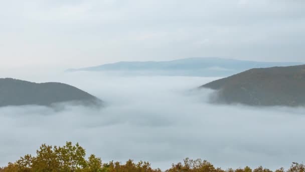 Timelapse ruchu mgły w wąwozie górskim. Żółto-zielone drzewa na pierwszym planie. Gładki ruch kamery. Piękne krajobrazy górskie. — Wideo stockowe