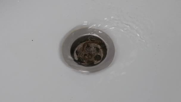 Clogged bathroom drain due to loose hair. A bundle of hair is obstructing the drain. Close-up. — Vídeo de Stock
