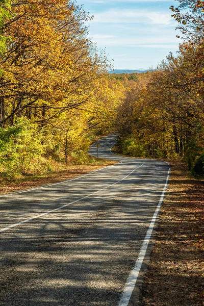 Ένας Δύσβατος Επαρχιακός Δρόμος Φυσάει Μέσα Από Ένα Κίτρινο Πράσινο — Φωτογραφία Αρχείου