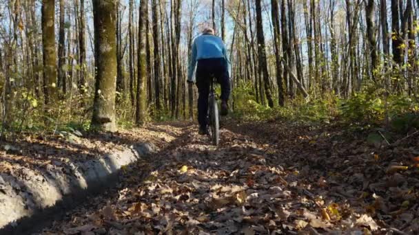Rowerzysta Plecami Kamery Jadący Powoli Leśną Drogą Pokrytą Opadłymi Liśćmi — Wideo stockowe