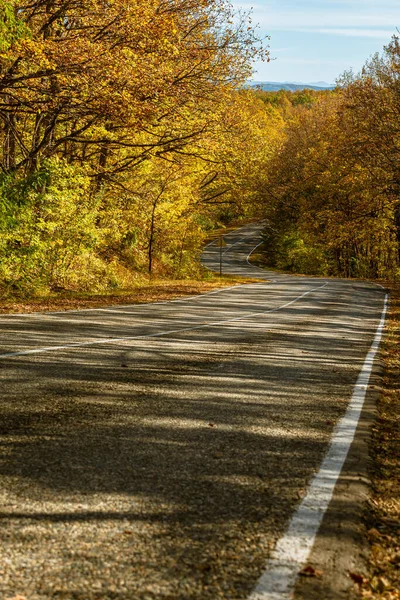 Winding Country Road Winds Yellow Green Forest Distance You Can — Foto Stock