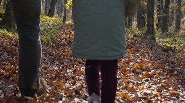 Bir sonbahar ormanında yaprakların arasında el ele tutuşan bir adam ve bir kız. Arka planda bir köpek var. Mutlu aile kavramı.