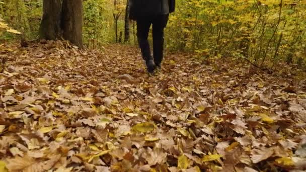 Man Sweatpants Sweatshirt Bag His Shoulder Walks Fallen Yellow Leaves — Wideo stockowe