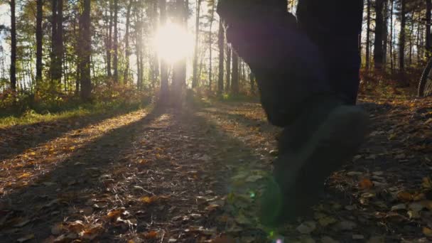 一个穿着运动裤 格子呢运动衫和帽子的男人穿过松针和树叶 在秋天的森林里与太阳相遇 长长的阴影从他身上和树上落下 — 图库视频影像