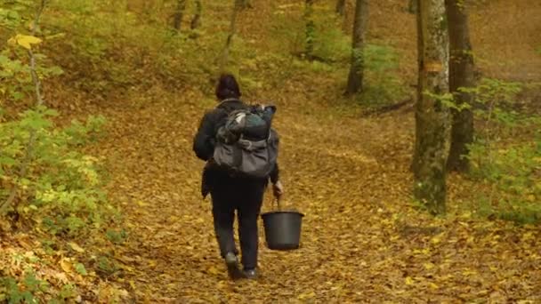 Elderly Woman Mushroom Hunter Backpack Her Back Bucket Her Hand — Stockvideo