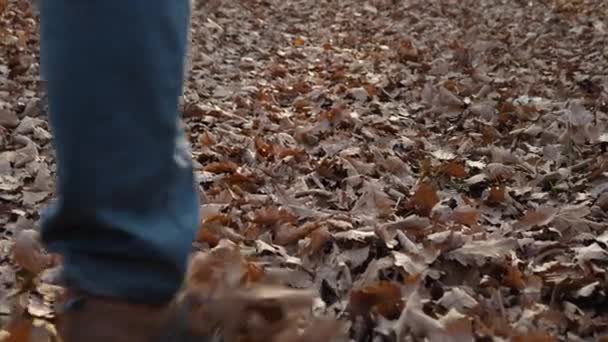 Los Pies Los Hombres Caminando Sobre Hojas Caídas Otoño Bosque — Vídeos de Stock