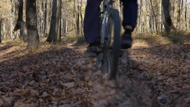 Homem Monta Uma Bicicleta Montanha Rapidamente Através Das Folhas Uma — Vídeo de Stock