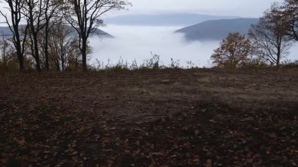 Widok Górski Wąwóz Pokryty Mgłą Ruch Kamery Dołu Góry Droga — Wideo stockowe