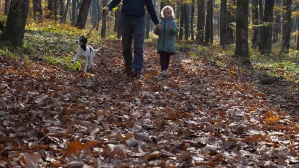 Man His Dog Walk Park Fallen Leaves Father Daughter Walk — Wideo stockowe