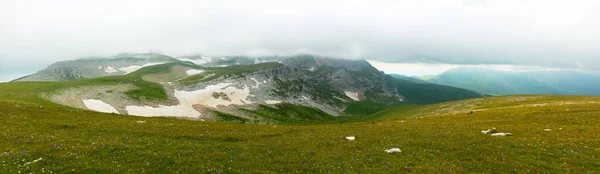 Panorama Paisaje Montaña Hierba Verde Con Flores Montaña Primer Plano —  Fotos de Stock
