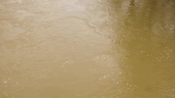 Primer plano del lento flujo de un río fangoso con agua marrón. Un río fangoso durante una inundación de invierno. — Vídeos de Stock