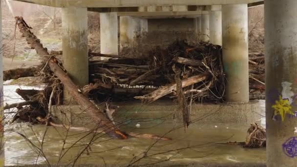 En blockering av stockar och grenar som förs av floden under översvämningen under vägbron. Betongbrostöd med grova stockar. Lerig flod under vintern översvämning. — Stockvideo