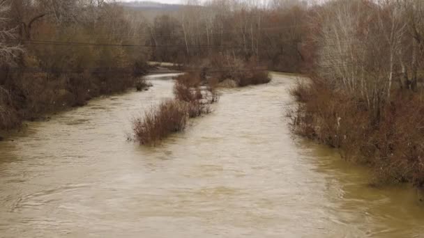 Curgerea Lentă Unui Râu Noroios Maro Marginile Băncii Stau Copaci — Videoclip de stoc