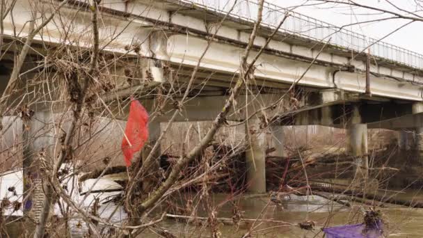 洪水の間に川によってもたらされた丸太や枝の閉塞でコンクリートの道路橋を強化しました 背景には がれきや汚れた川を持つ枝 — ストック動画