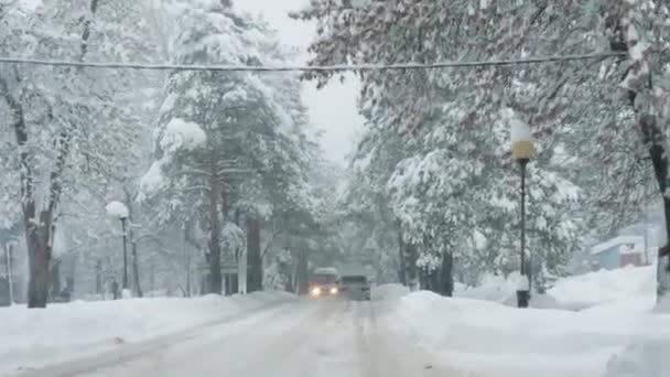 Widok Kabiny Samochód Jedzie Zaśnieżonej Drodze Wśród Jodł Pokrytymi Śniegiem — Wideo stockowe