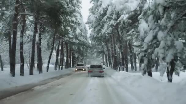 从小木屋往外看汽车在白雪覆盖的路上行驶 路边飘扬着白雪 大路两旁都是白雪覆盖的云杉 俄罗斯 Goryachiy Klyuch 2022年2月5日 — 图库视频影像