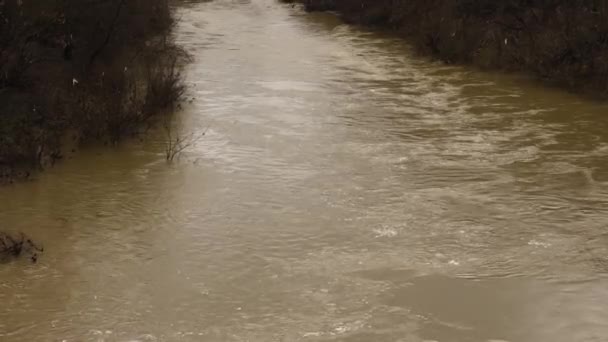 Río Fangoso Con Agua Marrón Corriente Lenta Río Fangoso Durante — Vídeo de stock