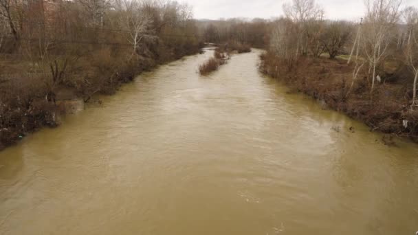 Blick Auf Einen Flachen Schlammigen Fluss Mit Braunem Wasser Bäume — Stockvideo