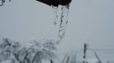 Kanalizasyona asılmış buz saçakları hızla damlıyor. Arka planda gri gökyüzü, ağaç dalları ve direğin üzerindeki küçük buz sarkıtları. Kar yağıyor.