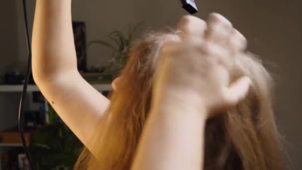 Gros plan d'une femme séchant ses cheveux avec un sèche-cheveux, les lissant avec sa main. Le concept de beauté et de soins capillaires. — Video