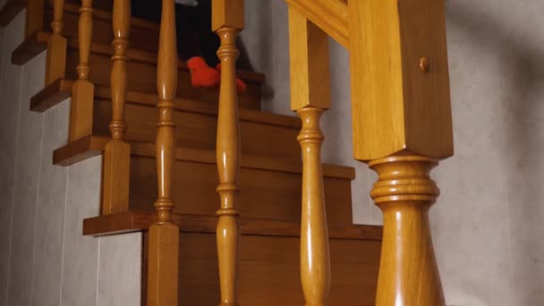 Child Girl Blue Robe Rolls Her Butt Wooden Ladder Second — Αρχείο Βίντεο
