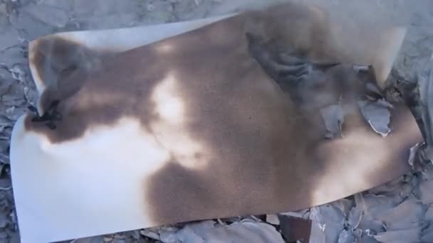 Piece Paper Smoldering Smoking Ashes Concept Document Destruction — Stock Video