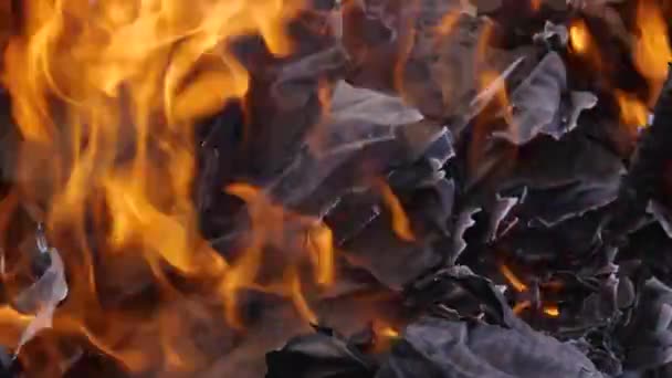 Detailní Záběr Pohrabáče Míchal Listy Papíru Které Nebyly Spáleny Ohni — Stock video