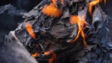 Yavaş çekimde yanan kağıtlar. Kağıt külleri ateşte yanıyor. Belgeleri yok etme kavramı