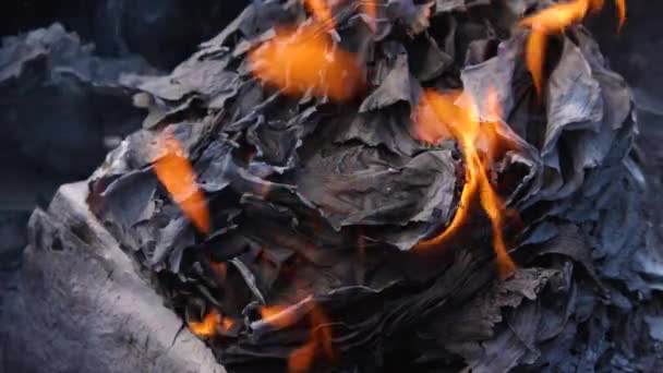 火を引く紙のシートのスローモーション 紙は火の中でにおいがする 文書を破壊するという概念 — ストック動画