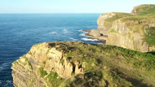 Aerial View Rocky Coastal Cliff Green Natural Area Rough Sea — Vídeo de stock
