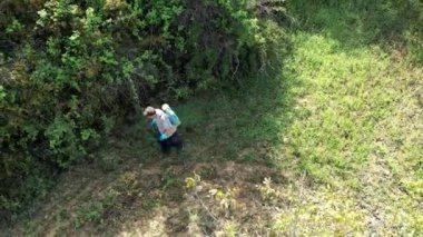 Man spraying herbicide in a field of walnut trees. Drone view. 4K. Bargota, Navarra, Spain, Europe.