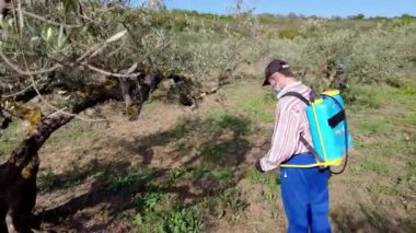 Young man with a face mask spraying herbicide in a field of olive trees. 4K. Bargota, Navarra, Spain, Europe.