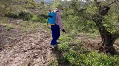 Young man with a face mask spraying herbicide in a field of olive trees. 4K. Bargota, Navarra, Spain, Europe.
