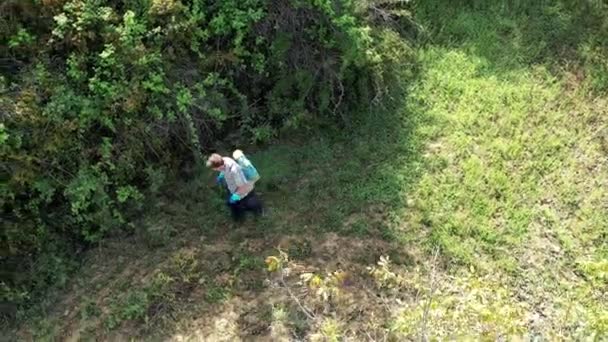 Man Spraying Herbicide Field Walnut Trees Drone View Bargota Navarra — Vídeo de Stock
