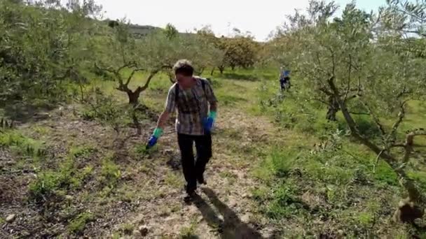 Két Földműves Gyomirtó Szert Permetezett Olajfák Mezejére Bargota Navarra Spanyolország — Stock videók