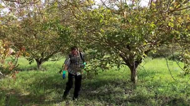Man Spraying Herbicide Field Walnut Trees Drone View Bargota Navarra — Stock video