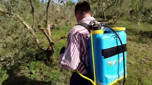 Two Agriculturist People Spraying Herbicide Field Olive Trees Bargota Navarra — Αρχείο Βίντεο