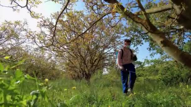 Young Man Face Mask Spraying Herbicide Field Walnut Trees Drone — Vídeo de stock