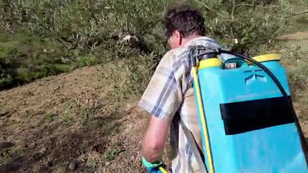 Man Spraying Herbicide Field Olive Trees Bargota Navarra Spain Europe — Video Stock