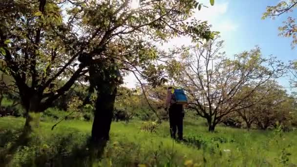 Two Agriculturist People Spraying Herbicide Field Walnut Trees Bargota Navarra — 图库视频影像